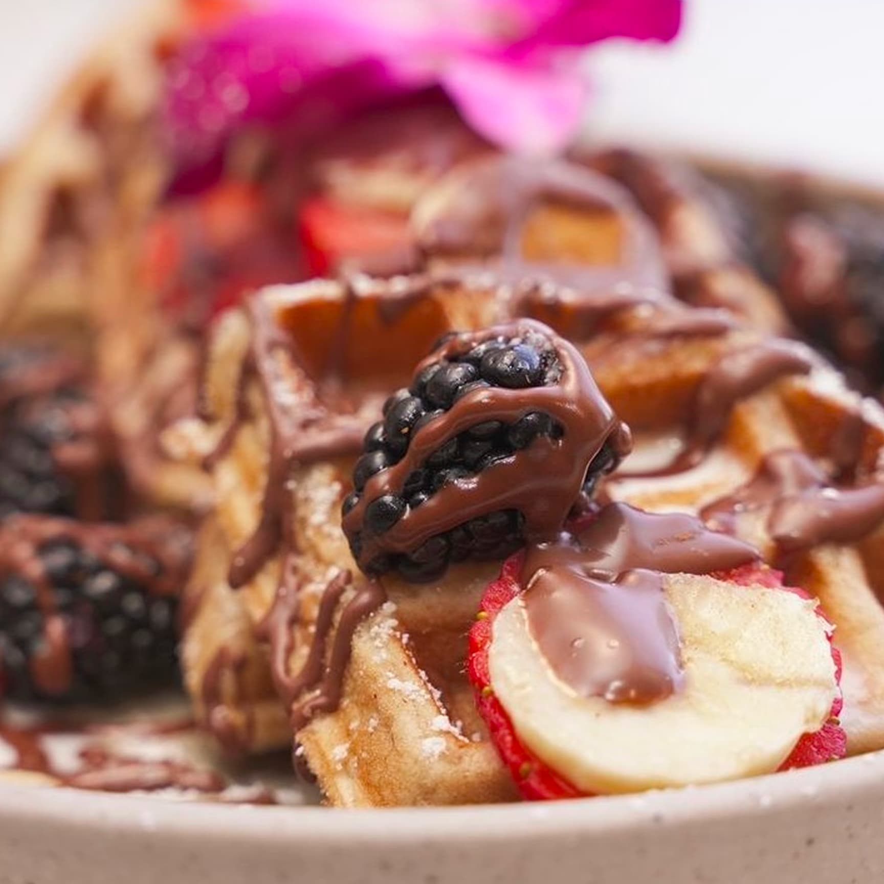 Waffle chocolate fruits